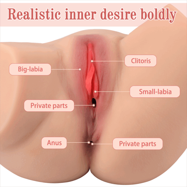 Torso Sex Doll Estimular Un Placer Masculino Más Fuerte - Imagen 2